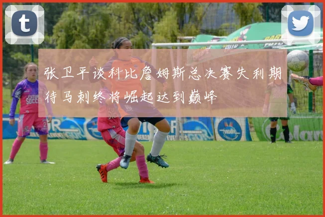 张卫平谈科比詹姆斯总决赛失利期待马刺终将崛起达到巅峰