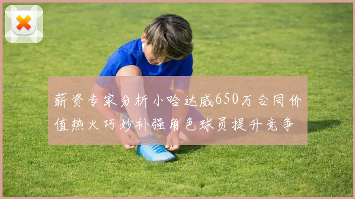 薪资专家分析小哈达威650万合同价值热火巧妙补强角色球员提升竞争力