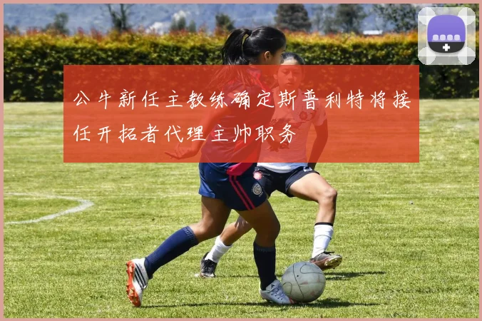 公牛新任主教练确定斯普利特将接任开拓者代理主帅职务